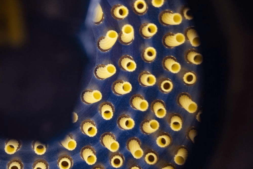 Barilla 145 years of history, passion and quality food Barilla Group